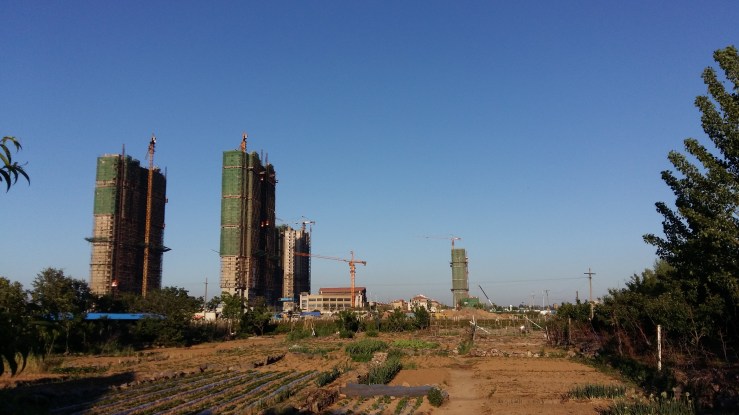 cultures maraîchères